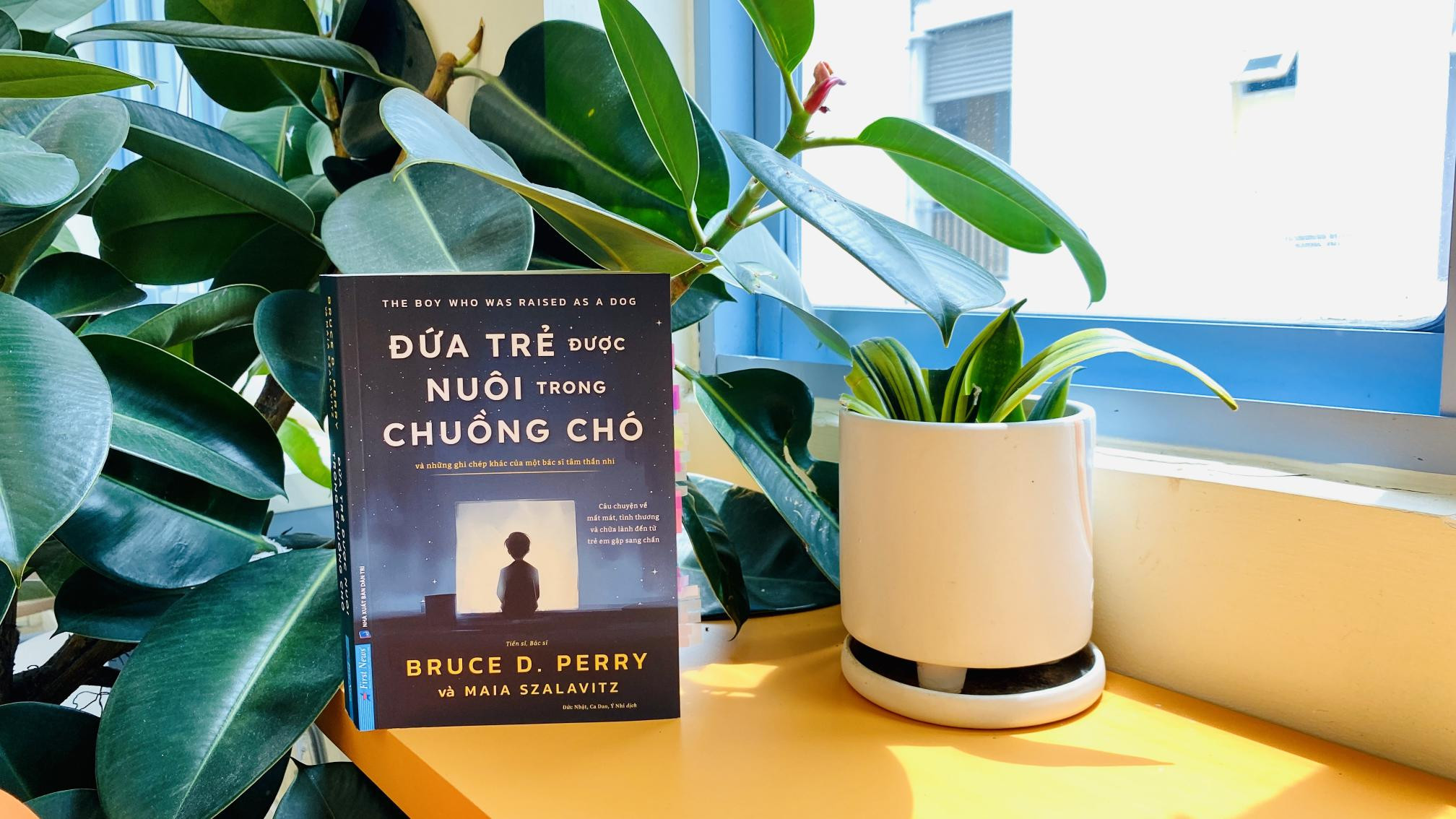 Đứa Trẻ Được Nuôi Trong Chuồng Chó
