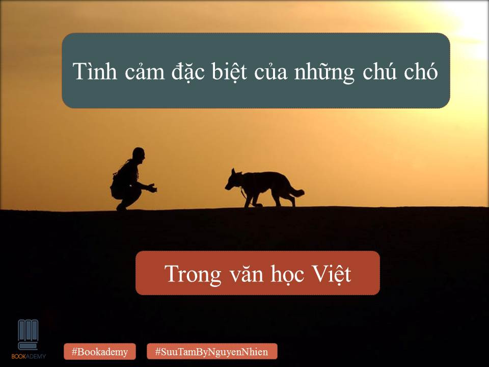 [Bookademy] Tình Cảm Đặc Biệt Của Những Chú Chó Trong Văn Học Việt